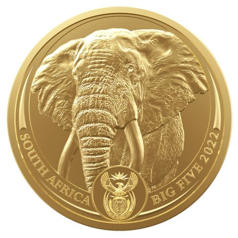 1 oz Wielka Piątka Afryki Słoń Złota Moneta | 2023