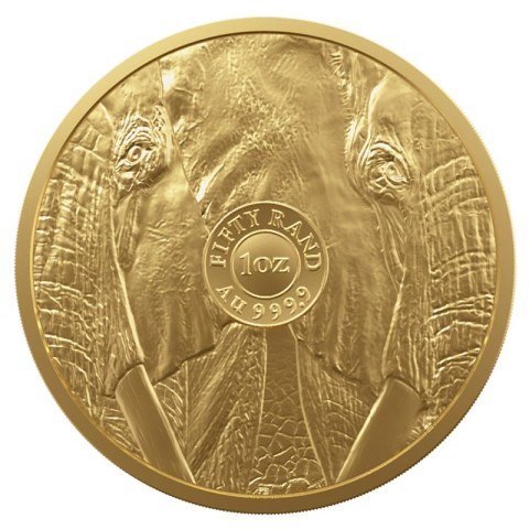 1 oz Wielka Piątka Afryki Słoń Złota Moneta | 2023