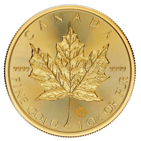Złota moneta 1 oz Maple Leaf 2024 rewers z liściem klonowym