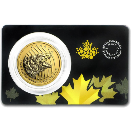 1 oz złota moneta Ryczący Grizzly 2016 w kapslu i pudełku – Royal Canadian Mint