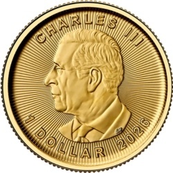 1/20 oz Liść Klonowy Złota Moneta | 2026