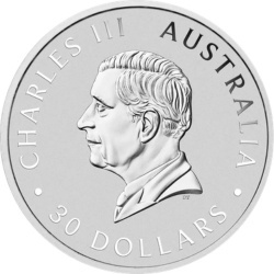 1 kg Koala Silbermünze 2026