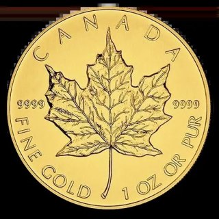 1 oz Maple Leaf Goldmünze | Beschädigt