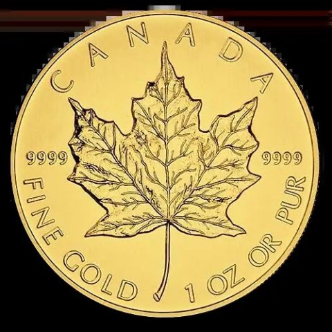 1 oz Maple Leaf Goldmünze | Beschädigt