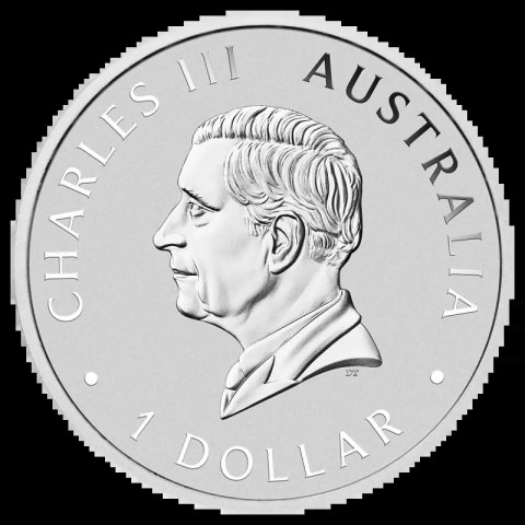 1 oz Koala Silbermünze | 2025