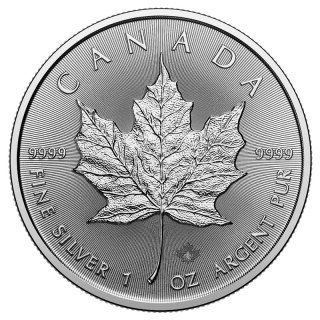 1 oz Maple Leaf Silbermünze | 2026