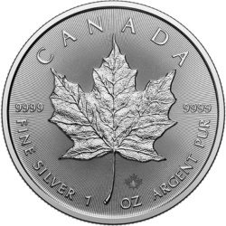 1 oz Maple Leaf Silbermünze | Gemischte Jahrgänge