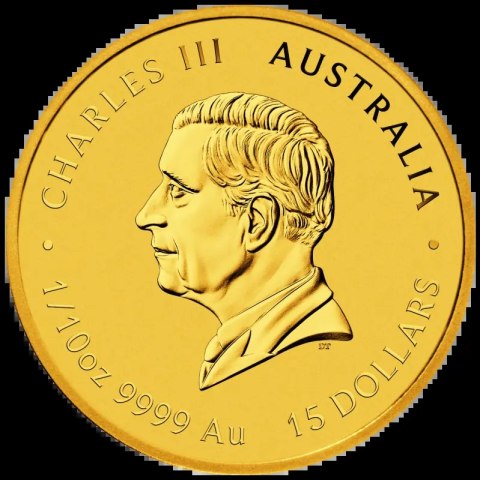 1/10 Unze Lunar III Jahr der Schlange Goldmünze | 2025