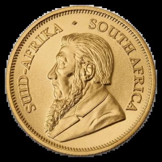 1/2 oz Krugerrand Goldmünze | 2026