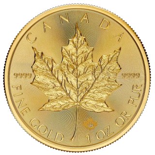 1 oz Maple Leaf Goldmünze | 2026